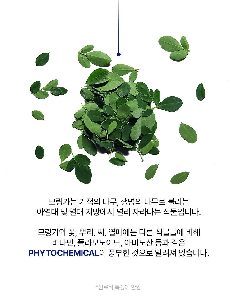 [NEW]뉴트리메이드 유스포뮬라 10포 (10일분) 상세페이지 24